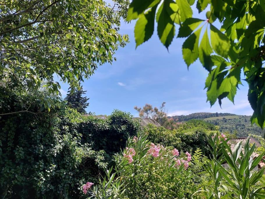 Vue De Rennes-Le-Chateau Couiza Kültér fotó